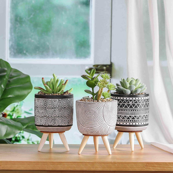 3 Pcs Mini Artificial Succulent Desk Plants in Pots