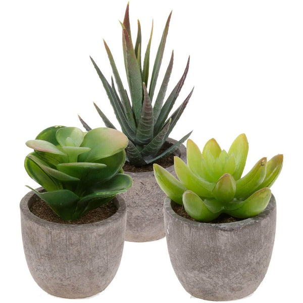 3 Pcs Mini Artificial Succulent Desk Plants in Pots