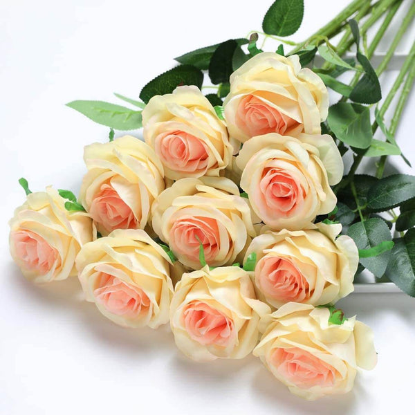 MEALULAND 10 Pcs Single Stem Artificial Roses Flowers (champagne)